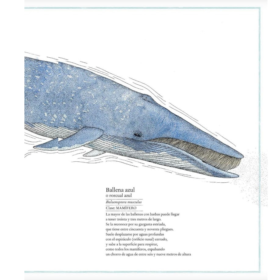 Inventario Ilustrado de los mares Inventario Ilustrado de los mares